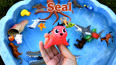 带你认识海洋里可爱的红色海豹玩具