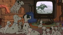 我竟在看一窝斑点狗看电视？这也太能生了吧！