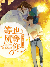 我一直在这里，等风也等你