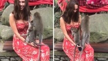 美女模特抱着猴子合影，遭袭胸扯衣毫不理会