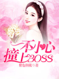 一不小心撞上BOSS