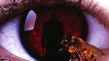 Watch the latest CANDYMAN (1992) online with English subtitle for free English Subtitle