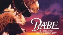  Babe (1995) 日本語字幕 英語吹き替え