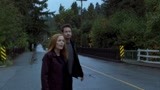 【X档案 第11季 大卫·杜楚尼】秒杀全场的混剪 #Fox Mulder#