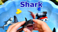 带你认识海里的凶猛鲨鱼玩具
