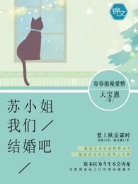 苏小姐，我们结婚吧