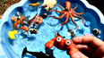 教你认识在海里生活的螃蟹玩具