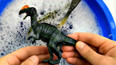 带你认识侏罗纪世纪动物双冠龙玩具