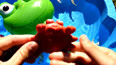 带你认识水里生活的红色小螃蟹玩具