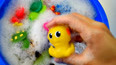 教你认识在海洋生活的黄色章鱼玩具