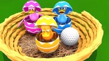 小鸭子玩高尔夫球变色