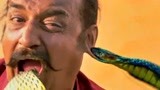 功夫瑜伽：老头试图挑衅眼镜蛇，不料被蛇咬住了下巴，看着都疼！