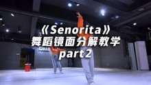Lisa版《Senorita》舞蹈