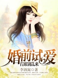 婚前试爱：首席别乱来