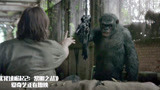 猩球崛起2：两个男子耍猩猩玩，不想被猩猩夺走枪支，瞬间丧命