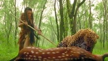 轩辕大帝：美女为救怀孕母鹿，拿起长棍子，就敢单挑大花豹！