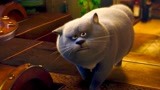 猫与桃花源：蓝猫找到了养父，这下养父可举不动蓝猫了！