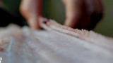 舌尖上的新年：修长肥美的鳗鱼，海边人只需三刀，将其完美大刨开