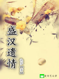 盛汉遗情