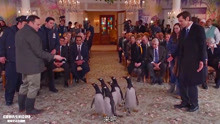 波普先生的企鹅：动物园管理员赶来诱惑，但企鹅们的选择大快人心