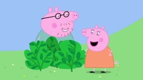 Watch the latest Peppa Pig Season 4 Episode 24 (2016) online with English subtitle for free English Subtitle