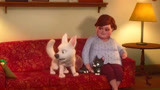 闪电狗：波特、黑猫、小仓鼠一起和佩妮生活，状态平静且幸福