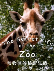 动物园的秘密生活第1季