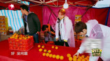 王耀庆“暗访”脐橙市场，尝橙子酸到脸变形，这么算你还吃！！