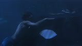 人鱼的童话2：水下世界也太美了吧 看完好想去潜水