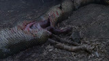 狂蟒之灾2：野人遗址发现骷髅，旁边还有条大蟒蛇，吓坏了大伙！