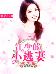 江少的小逃妻