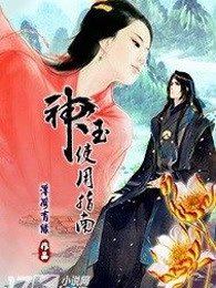 神玉使用指南