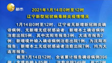 2021年1月14日0时至12时 辽宁新型冠状病毒肺炎疫情情况
