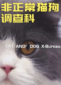Watch the latest Cat and Dog X-Bureau (2019) online with English subtitle for free English Subtitle