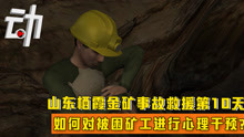 山东栖霞金矿事故救援第10天：如何对被困矿工进行心理干预？