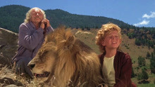 男孩养了一只没有牙齿的可怜狮子，只能每天喂牛奶，温情动物电影