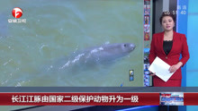 长江江豚由国家二级保护动物升为一级