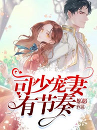 司少的秘宠甜妻