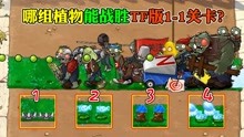 [图]植物大战僵尸：哪组植物能战胜TF版1-1关卡？戴夫：原来如此！