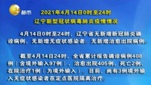 2021年4月14日0时至24时辽宁新型冠状病毒肺炎疫情情况