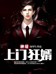 神级上门狂婿