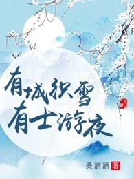 有城织雪，有士游夜