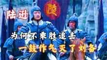 陆逊火烧连营后，刘备惨败逃亡白帝城，吴军为何不乘胜追击呢？