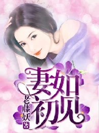 妻如初见