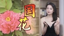 [图]中国的国花是什么？专家提了4个条件，哪种花更有资格呢？