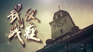 【优秀系列片】《武汉战疫》
