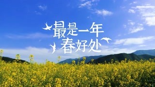【优秀系列片】《最是一年春好处》