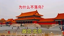 北京故宫房顶为什么从来不落鸟？感叹古人的智慧，今天终于明白了