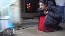 Behind the Scenes of Luoyang: Victoria Song and the Cute Animals