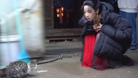 Watch the latest Behind the Scenes of Luoyang: Victoria Song and the Cute Animals with English subtitle English Subtitle